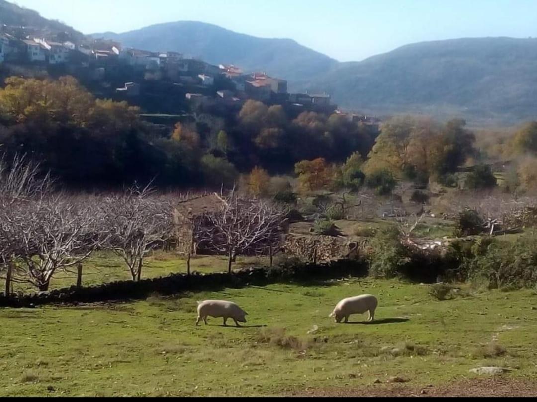 El Nido, Casa Rural Casas del Castañar Eksteriør billede